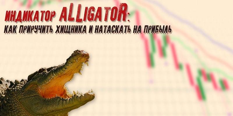Индикатор Alligator: как приручить хищника и натаскать на прибыль