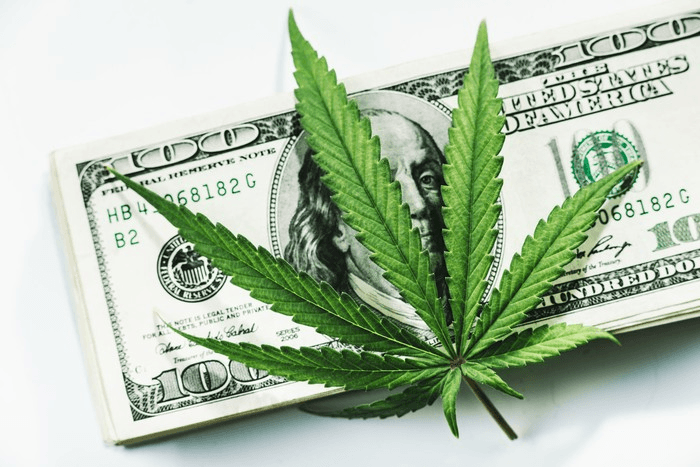 Лучшие акции производителей марихуаны на 2022 год
