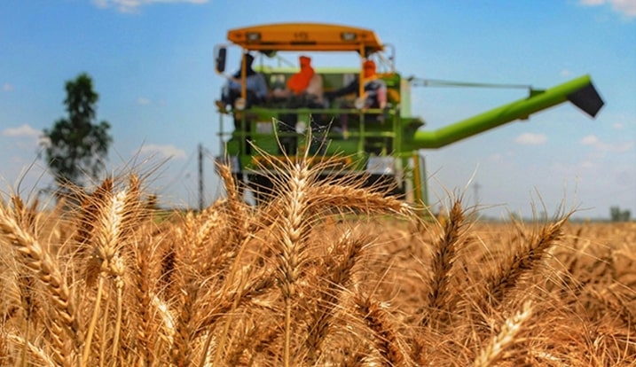 CFD на пшеницу — весьма популярный дериватив