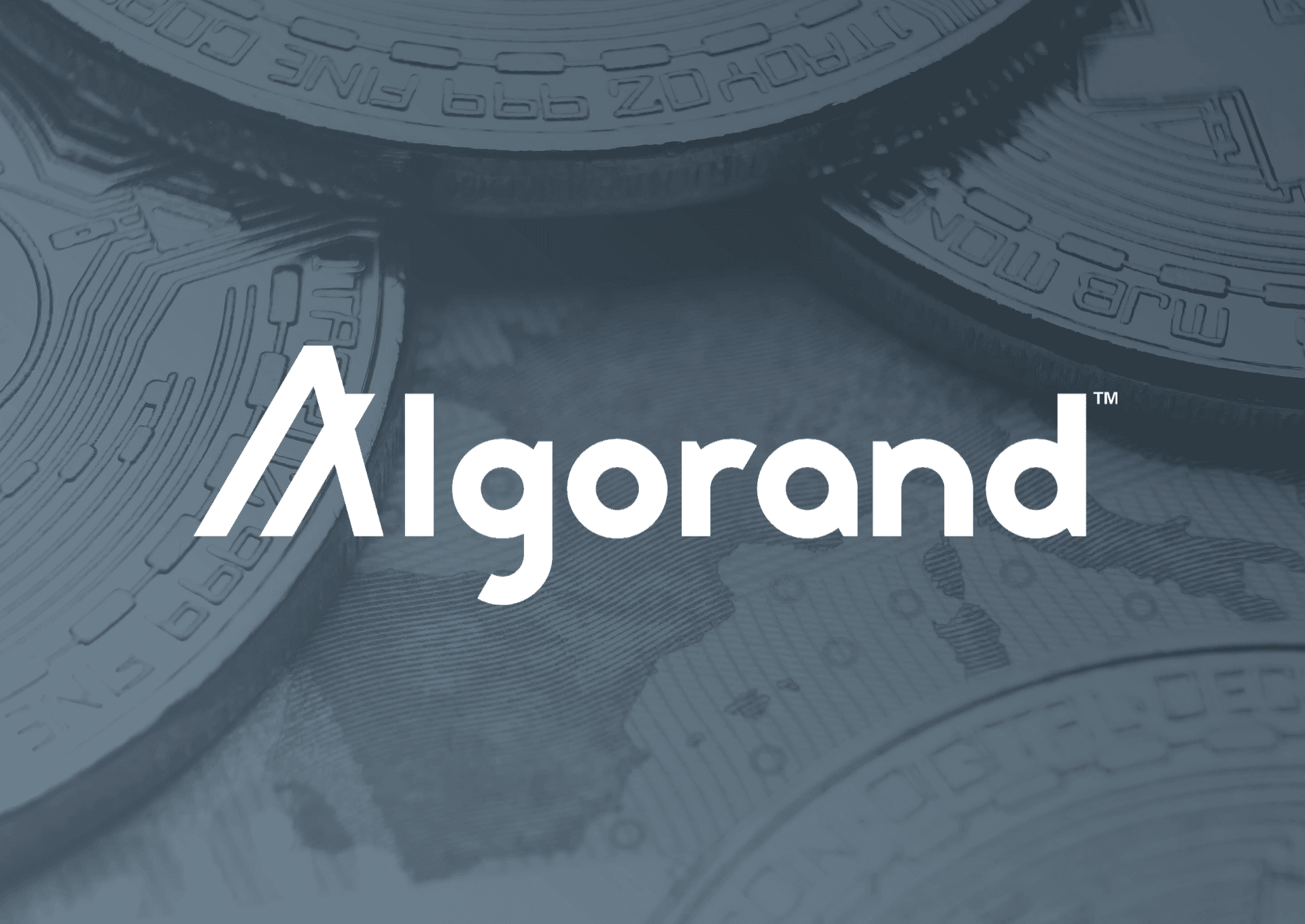Обзор криптовалюты Algorand (ALGO)